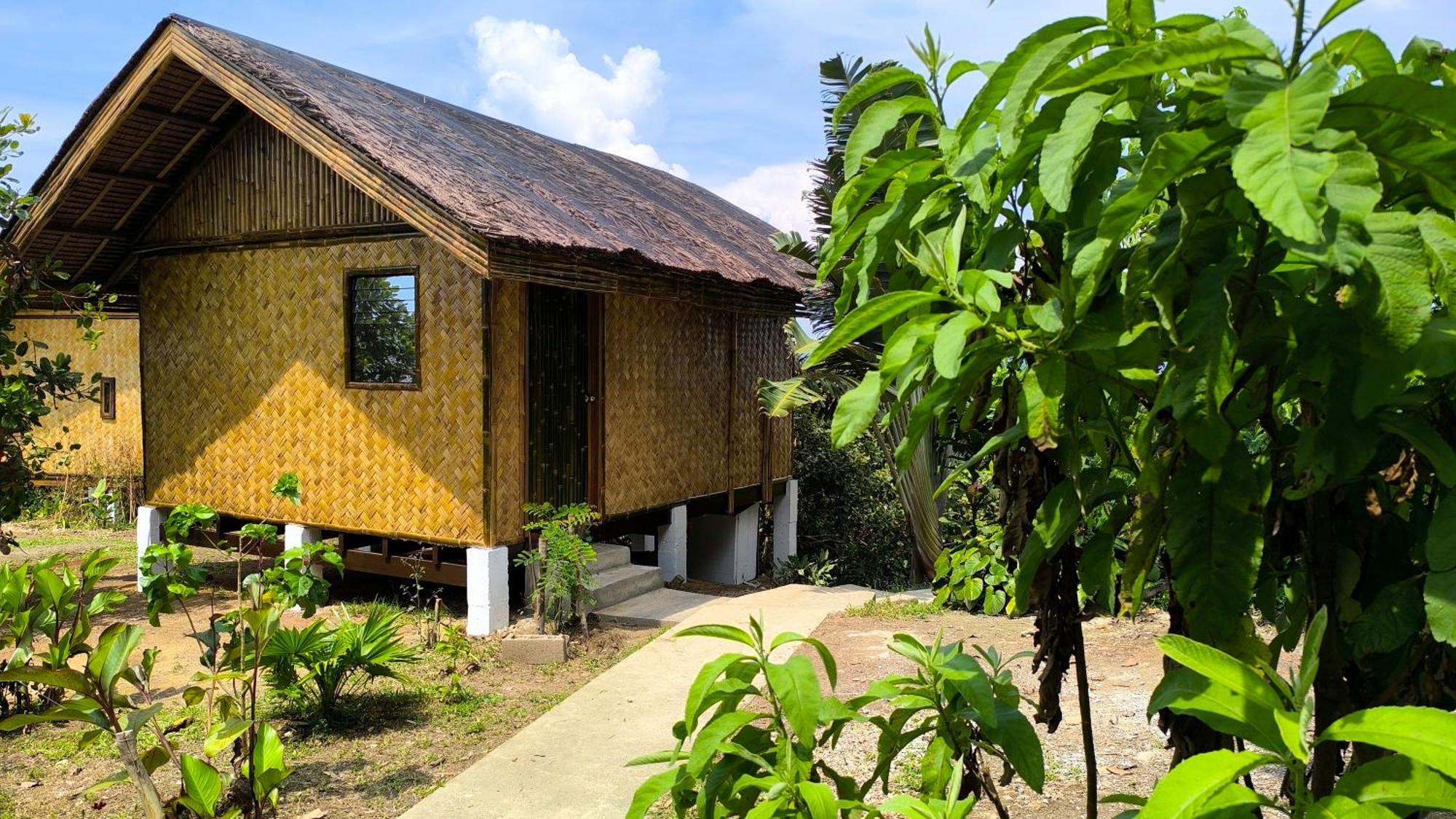 Ocean Green Eco Lodge Puerto Princesa Eksteriør billede